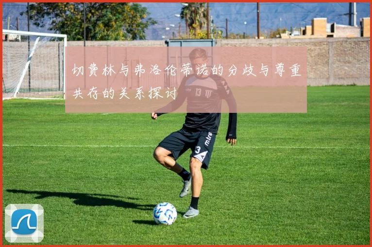 切费林与弗洛伦蒂诺的分歧与尊重共存的关系探讨