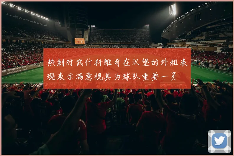 热刺对武什科维奇在汉堡的外租表现表示满意视其为球队重要一员