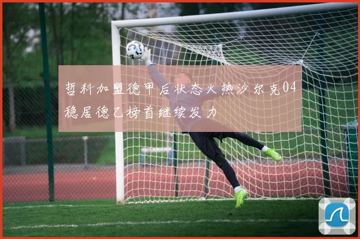哲科加盟德甲后状态火热沙尔克04稳居德乙榜首继续发力