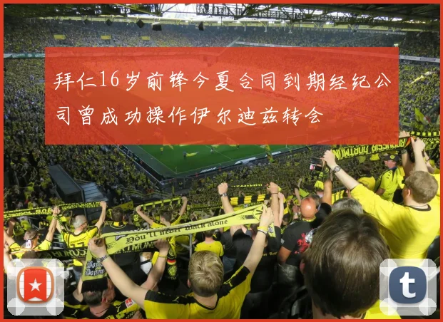 拜仁16岁前锋今夏合同到期经纪公司曾成功操作伊尔迪兹转会